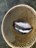 IMG_1641.jpeg