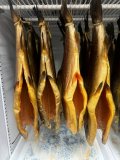 IMG_1691.jpeg