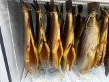 IMG_1690.jpeg