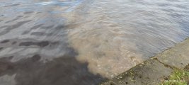 IMG_20250502_171508.jpg