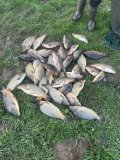 IMG_9592.jpeg
