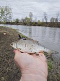 IMG_20250502_133139.jpg