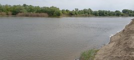 IMG_20250503_093044.jpg