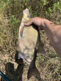 IMG_6607.jpeg