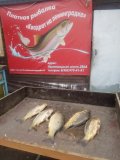 IMG-20250503-WA0002.jpg