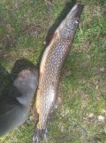 IMG_20250502_142902.jpg