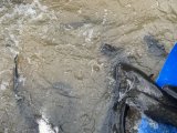 IMG_3393.jpeg