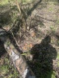 IMG_1696.jpeg