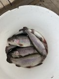 IMG_9355.jpeg