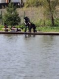 Изображение хрюхрюp 2025-05-03 в 10.52.27_48f4e325.jpg