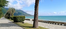 IMG_20250503_160249_197.jpg