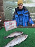 IMG_3441.jpeg