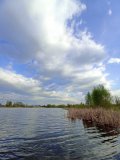 IMG_20250503_193425.jpg