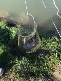 IMG_1699.jpeg