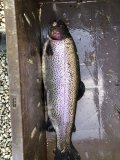 IMG_1734.jpeg