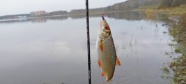 IMG20250503192127.jpg