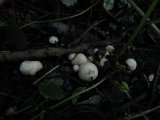 IMG_2791.jpg