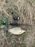 IMG_6063.jpeg