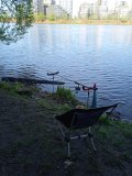 IMG_20250503_080420_1.jpg