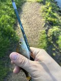 IMG_6752.jpeg