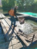 IMG-20250504-WA0014.jpg