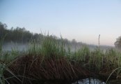 IMG_6694.jpg