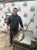 IMG_2112.jpeg
