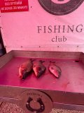 IMG_20250504_185428_048.jpg