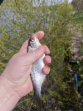 IMG_20250504_112512.jpg