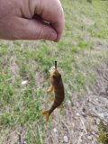 IMG_20250504_130631.jpg