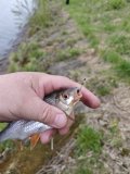 IMG_20250504_133812.jpg