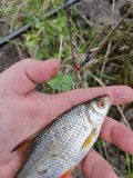 IMG_20250504_143252.jpg