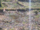 20250504_135620.jpg