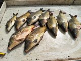 IMG-20250504-WA0041.jpg