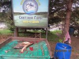 010.JPG