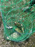 IMG_9370.jpeg