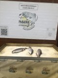 IMG_1786.jpeg