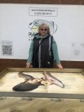 IMG_1778.jpeg