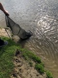 IMG_1763.jpeg