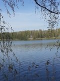 20250504_103553.jpg
