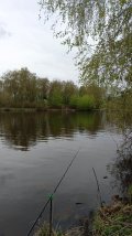 IMG-20250504-WA0057.jpeg
