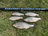 IMG_1253.jpeg