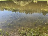 IMG_1237.jpeg