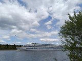 IMG_20250504_115154.jpg