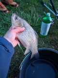 IMG_20250502_203619.jpg