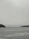 85d17b1e-6bcc-49d0-8f66-2cd49c7dd28c.jpeg