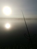 IMG_20250504_062012.jpg