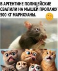 l4hGSPt_uuJgCEUgmugwFrdvuV2uHsaSQa-Cmrc653T3tAQvEIrcgkWMUBivqpu3uQvpyTpy72UcvWGCePWdAn87.jpg