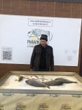 IMG_1801.jpeg
