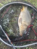 IMG_3794.jpeg